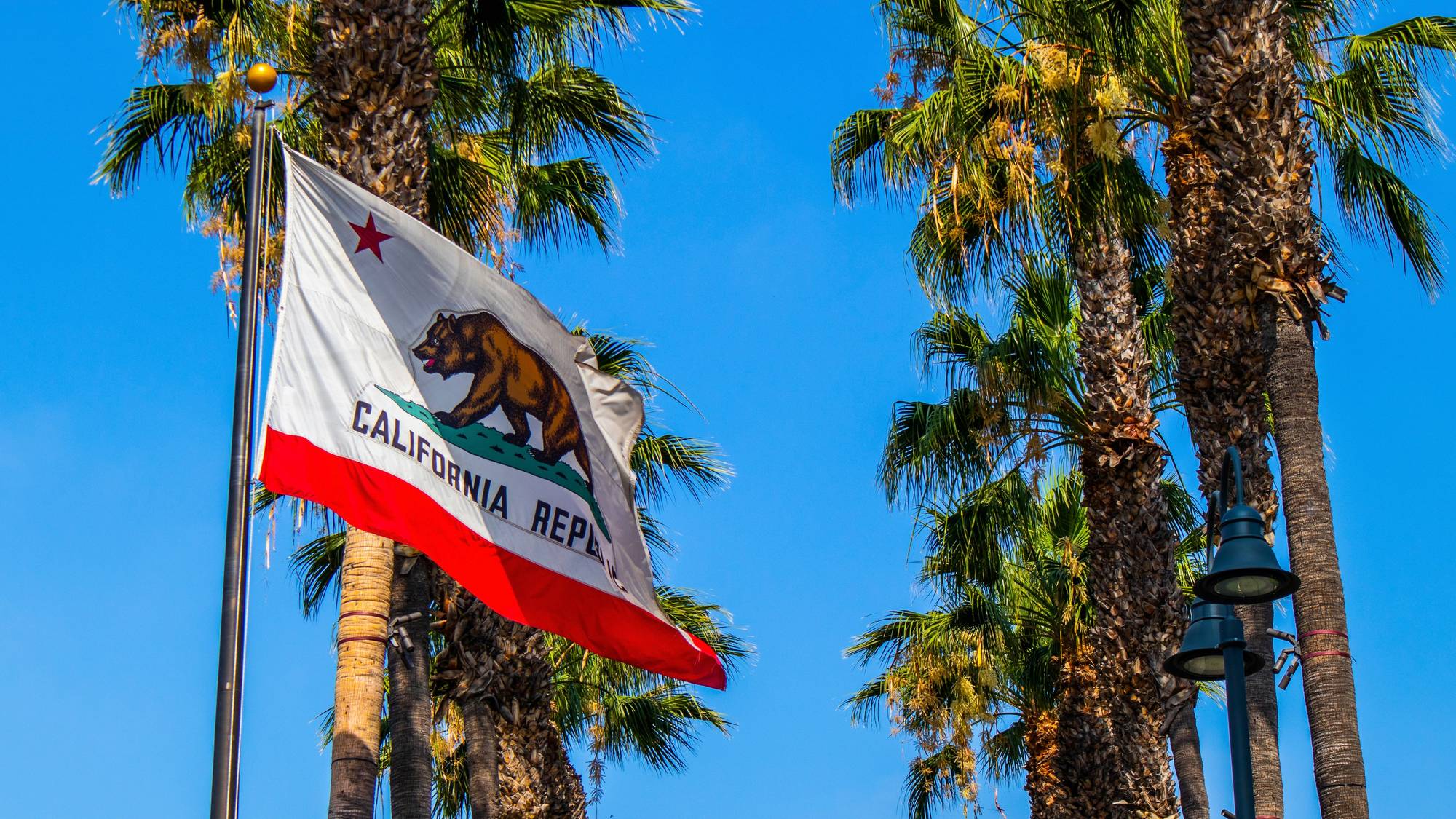 Owners reviewing financial statements in California family business
